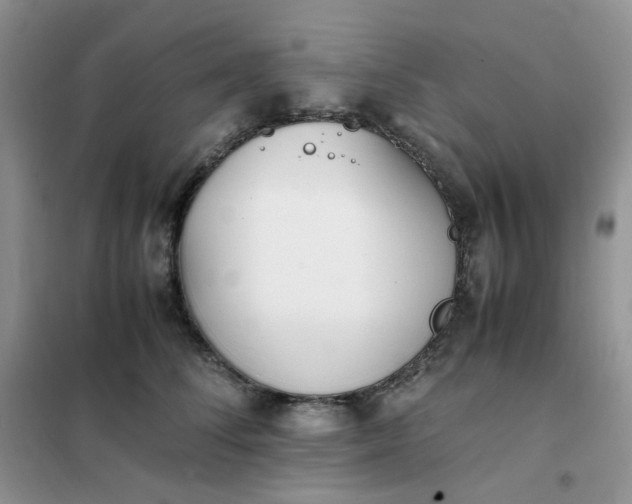 X0000102030708200808011448