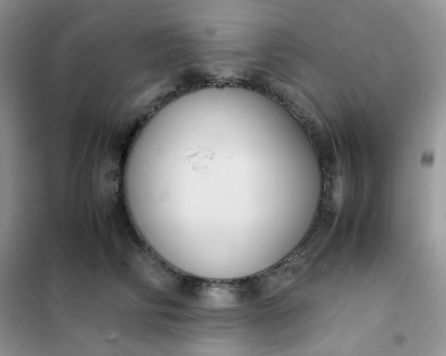 X0000102030710200808011448