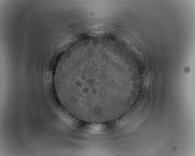 X0000102030711200808011448