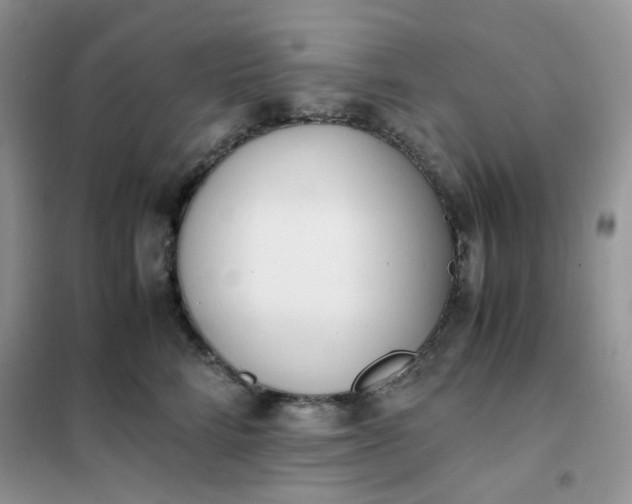 X0000102030712200808011448