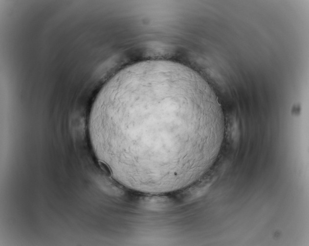 X0000102030716200808011448