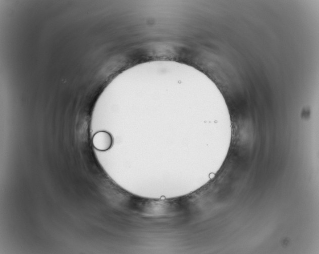 X0000102030717200808011448