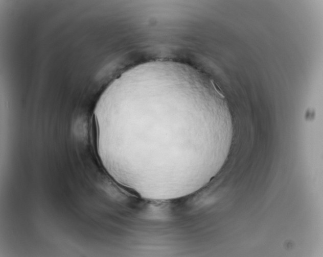 X0000102030720200808011448