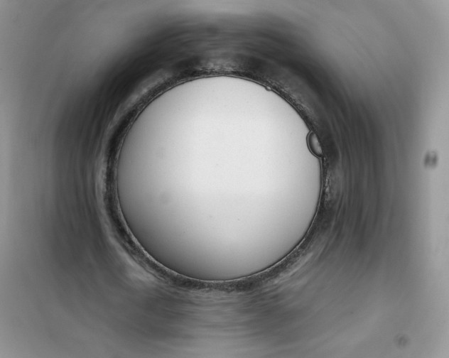 X0000102030722200808011447