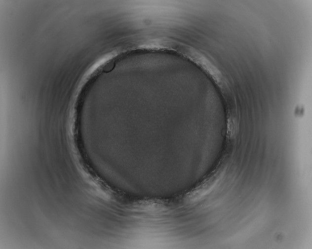 X0000102030724200808011447