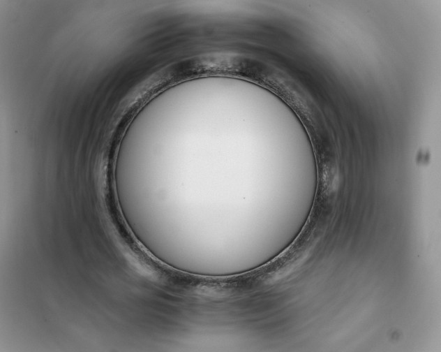 X0000102030725200808011447