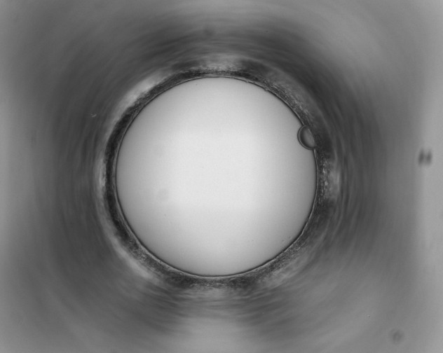 X0000102030726200808011447