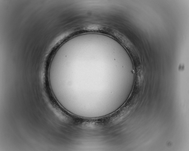 X0000102030728200808011447