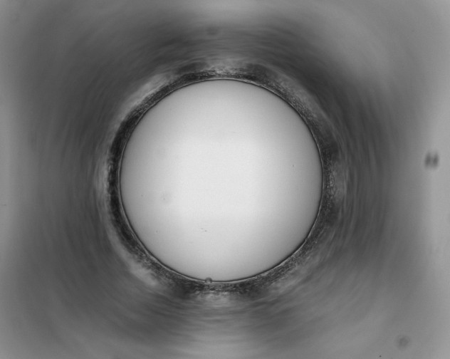 X0000102030730200808011447