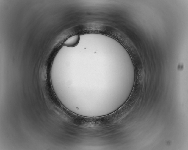 X0000102030731200808011447