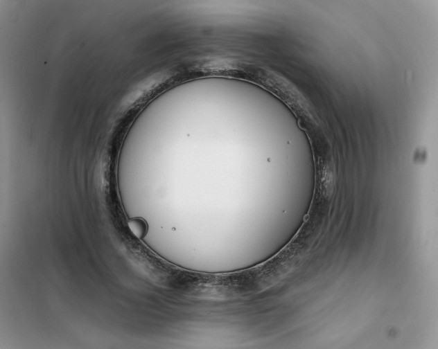 X0000102030732200808011447