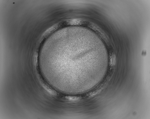 X0000102030733200808011447