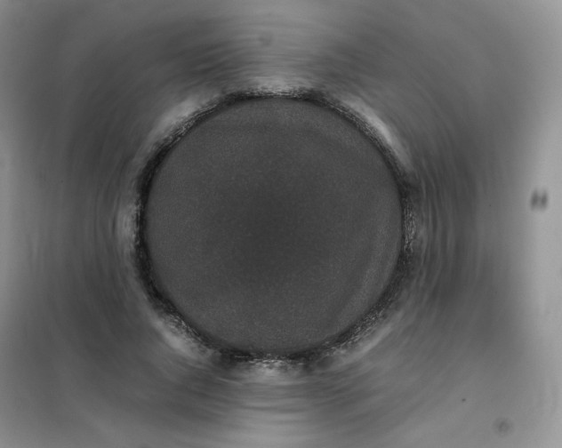 X0000102030736200808011447