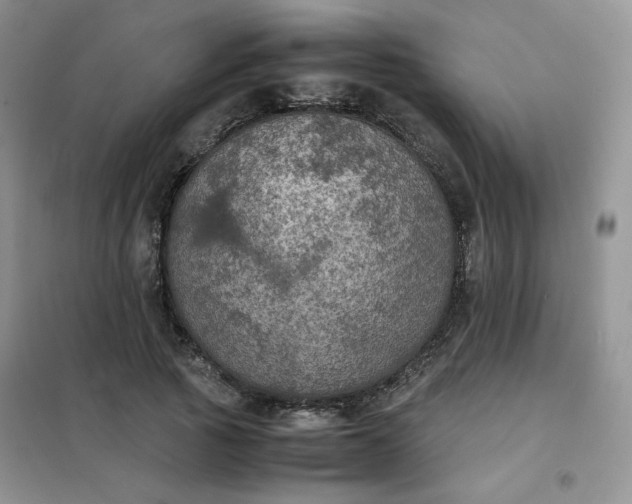 X0000102030737200808011447