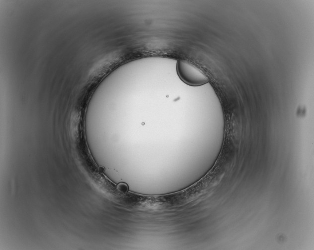 X0000102030742200808011447