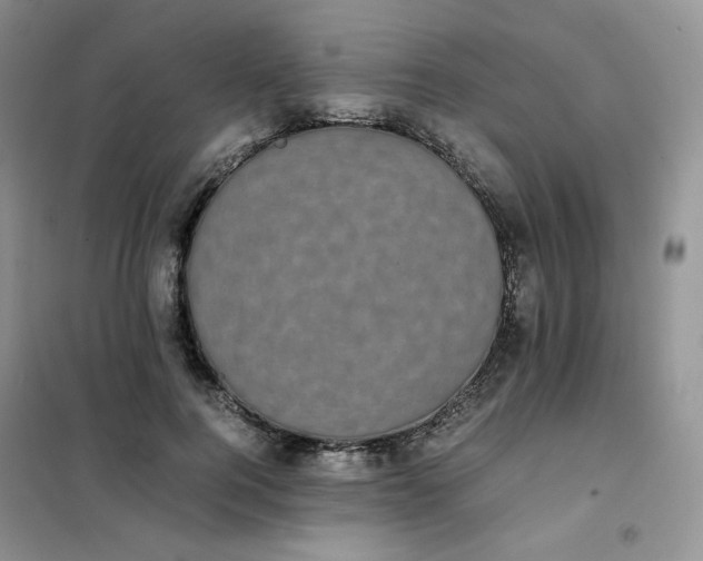 X0000102030744200808011447