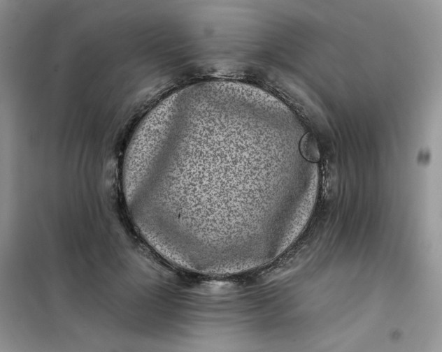 X0000102030748200808011447