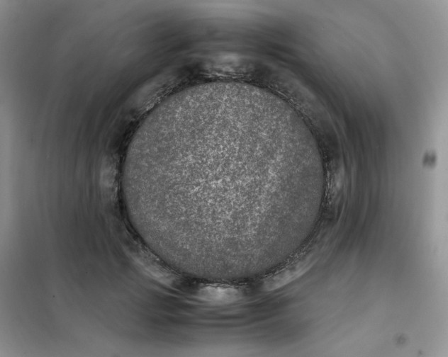 X0000102030749200808011447