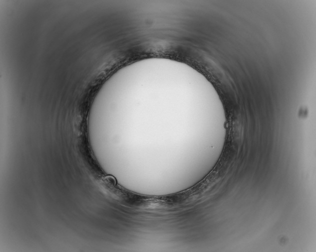 X0000102030750200808011447