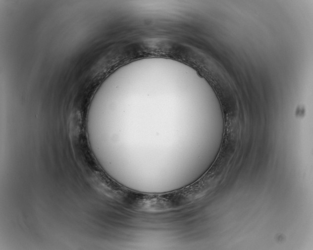 X0000102030752200808011447