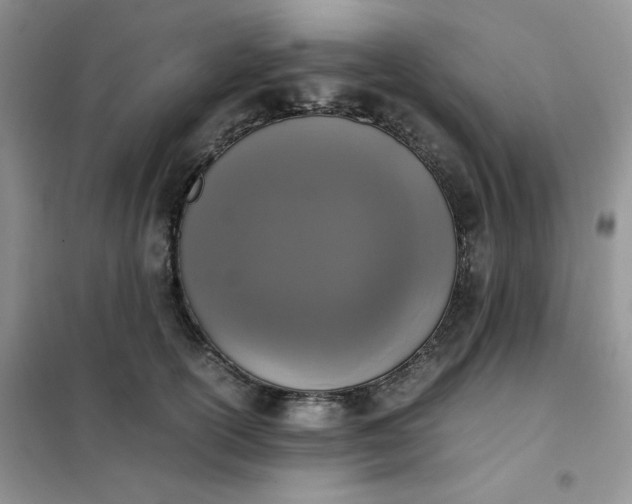 X0000102030754200808011447