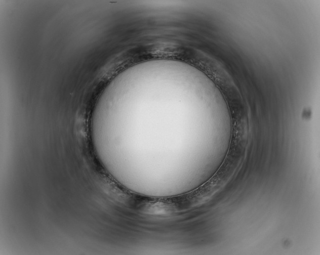 X0000102030755200808011447