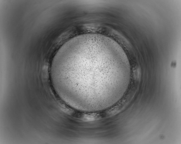 X0000102030757200808011447