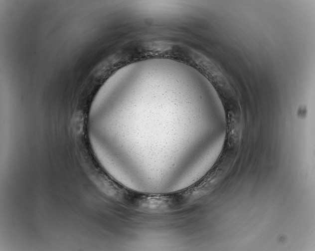 X0000102030758200808011447