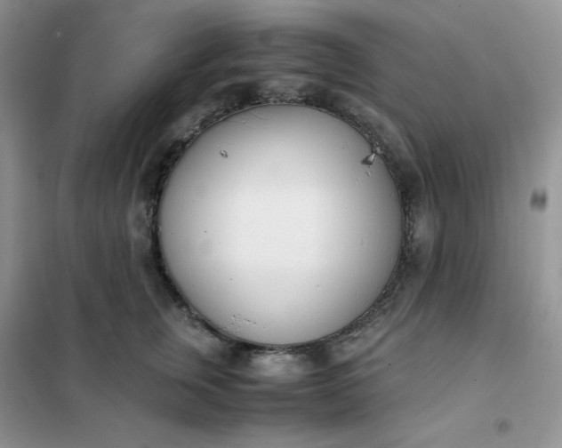 X0000102030759200808011447