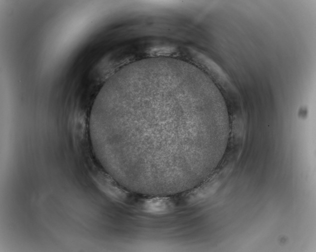 X0000102030761200808011447