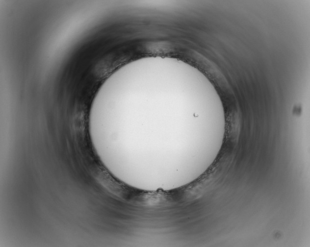 X0000102030762200808011448