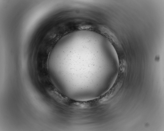 X0000102030763200808011448