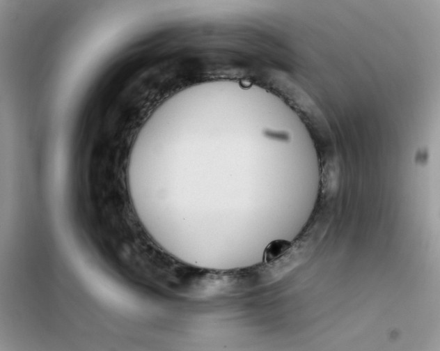 X0000102030764200808011448