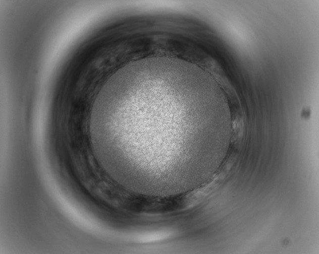 X0000102030765200808011448