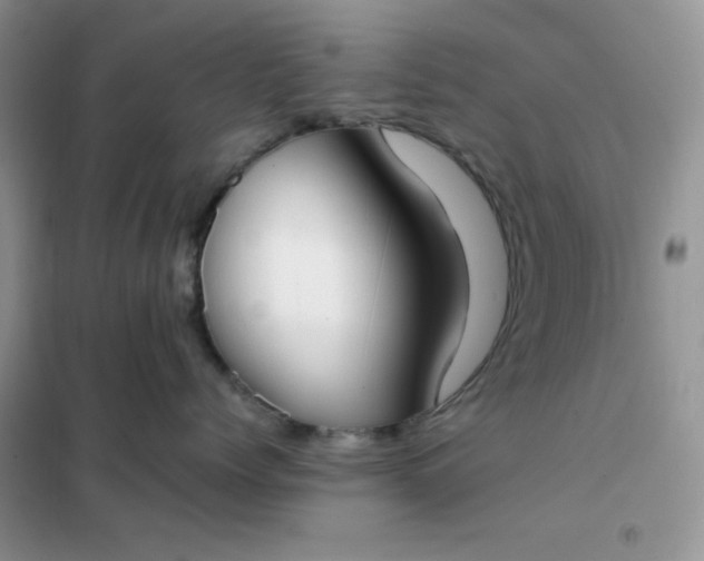 X0000102030768200808011448