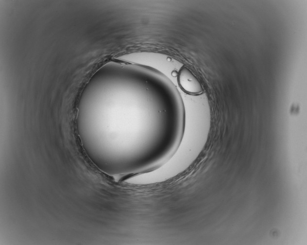 X0000102030769200808011447