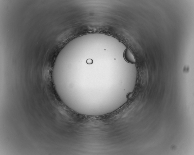 X0000102030770200808011447