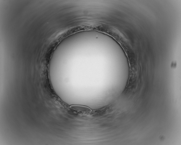 X0000102030773200808011447