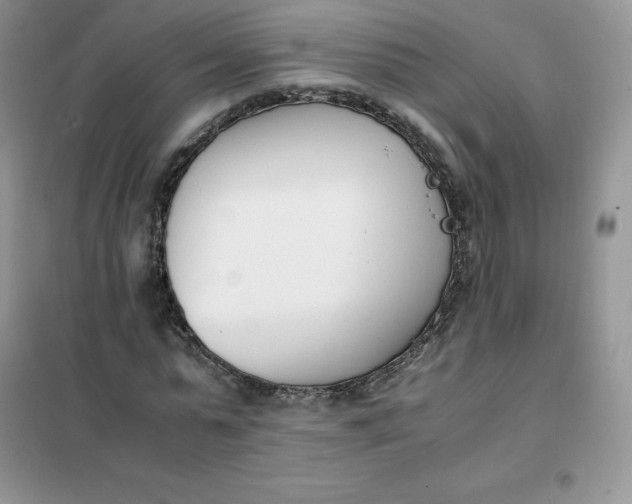 X0000102030775200808011447