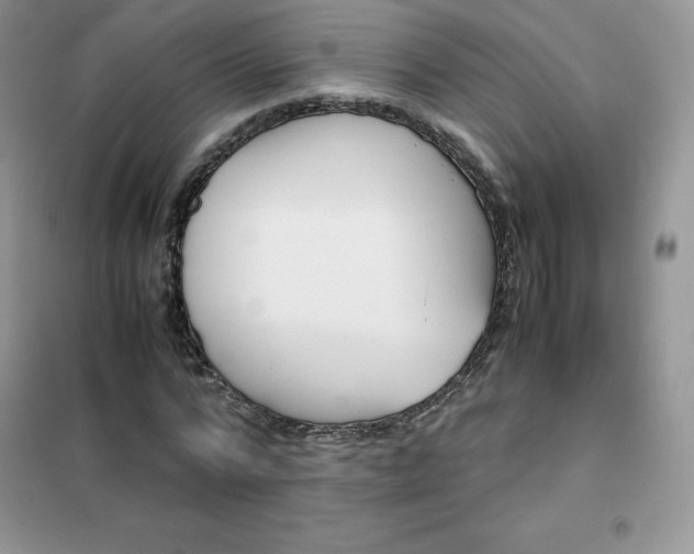 X0000102030776200808011447