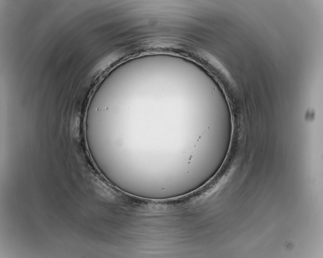 X0000102030777200808011447