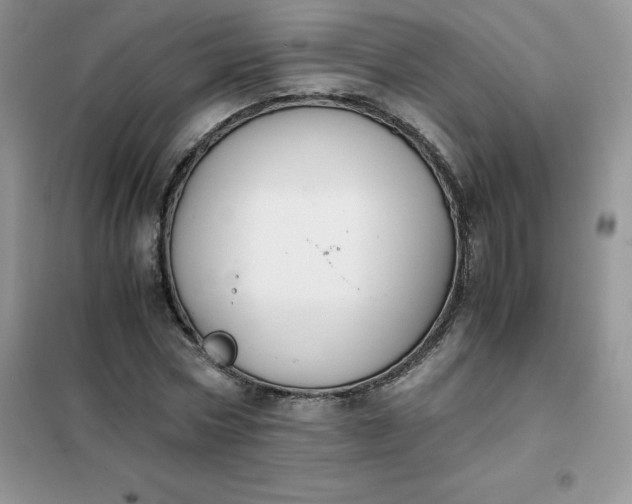 X0000102030778200808011447