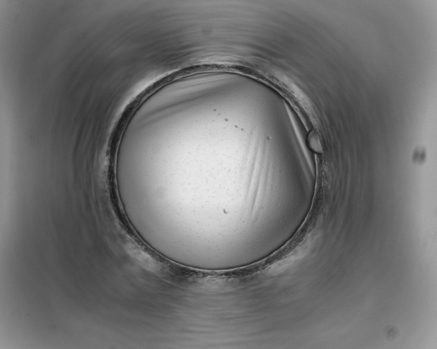 X0000102030779200808011447