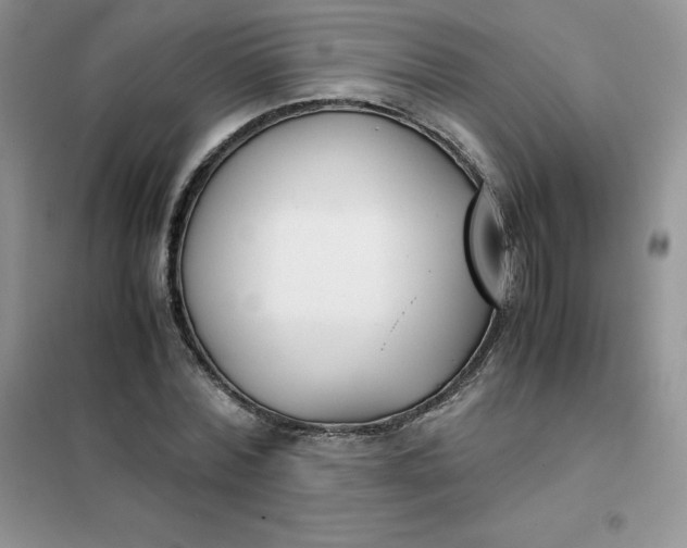 X0000102030780200808011447