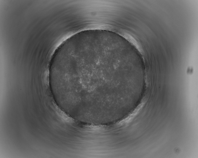 X0000102030781200808011447