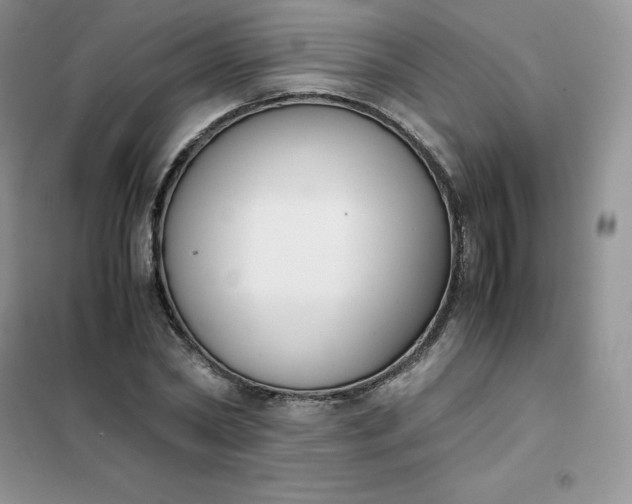 X0000102030782200808011447