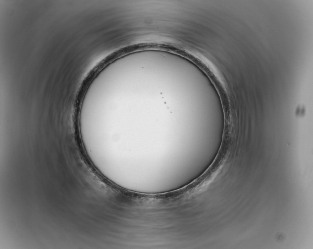 X0000102030783200808011447