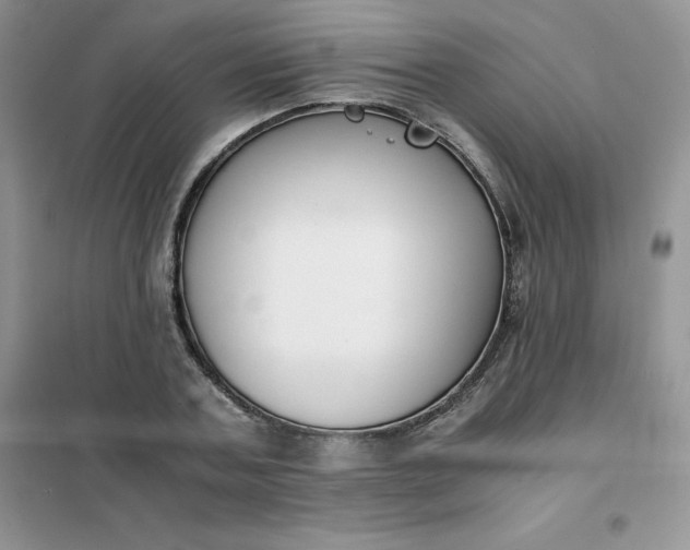 X0000102030787200808011447