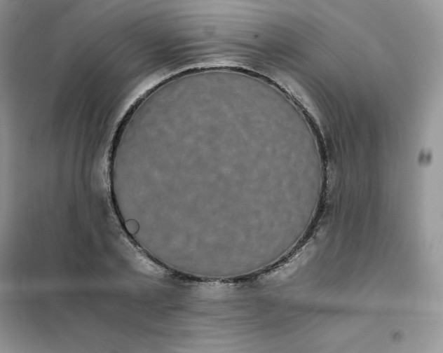 X0000102030789200808011446