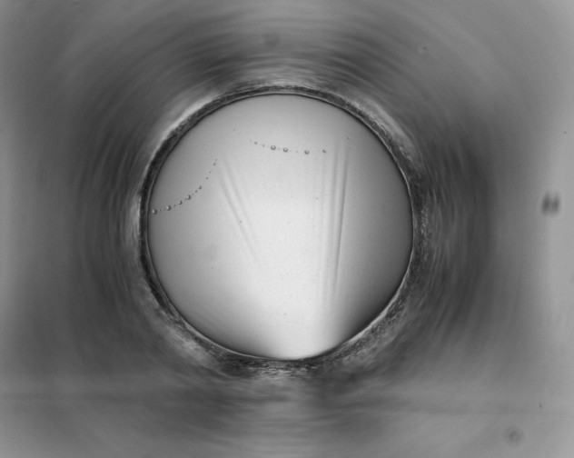 X0000102030790200808011446